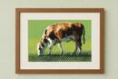 Cow Grazing