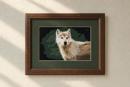 Coastal Wolf (Large)