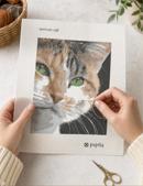 Serious Cat (Large)