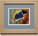 Tropical Fish 5