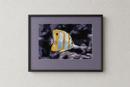 Tropical Fish 4