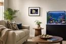 Tropical Fish 4
