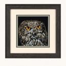 Night Owl