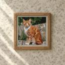 Tabby Cat