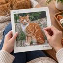 Tabby Cat