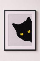 Cat Around Corner Yellow Eyes