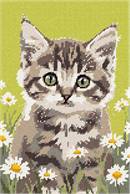 Daisies Cat