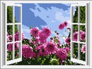 Open Window