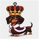 Royal Dachshund