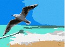 Sea Gull